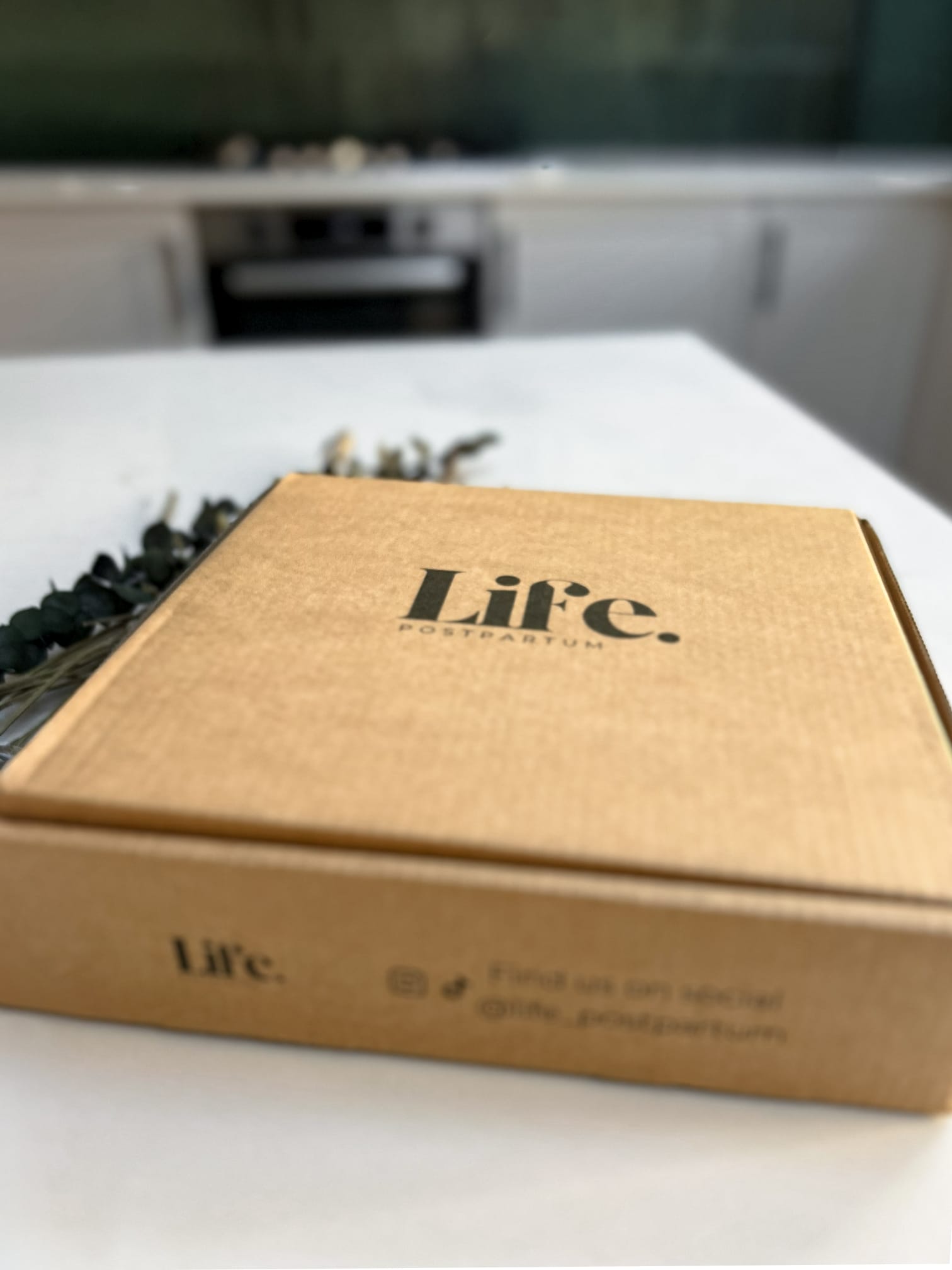 WhatsApp Image 2025-12-09 at 06.37.41